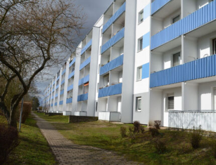 Edgar-André-Straße 25